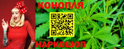 Альфа ПВП Сланцы