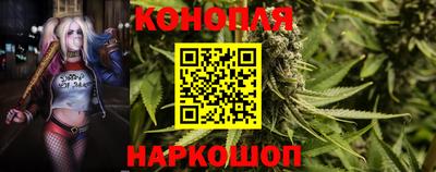 Альфа ПВП Сланцы