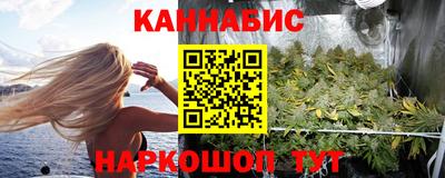 Альфа ПВП Сланцы